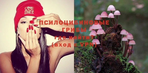 прущая мука Верея